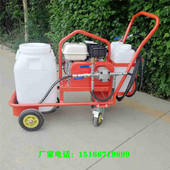 内燃式 沥青洒布机路面修补沥青喷洒机简易款 沥青撒布机金尊机械
