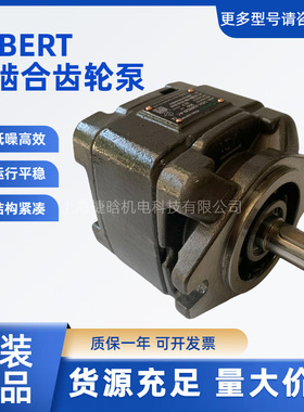 ALBERT内啮合齿轮泵VG1-32REW-A1 艾伯特油泵 VG1-63REW-A