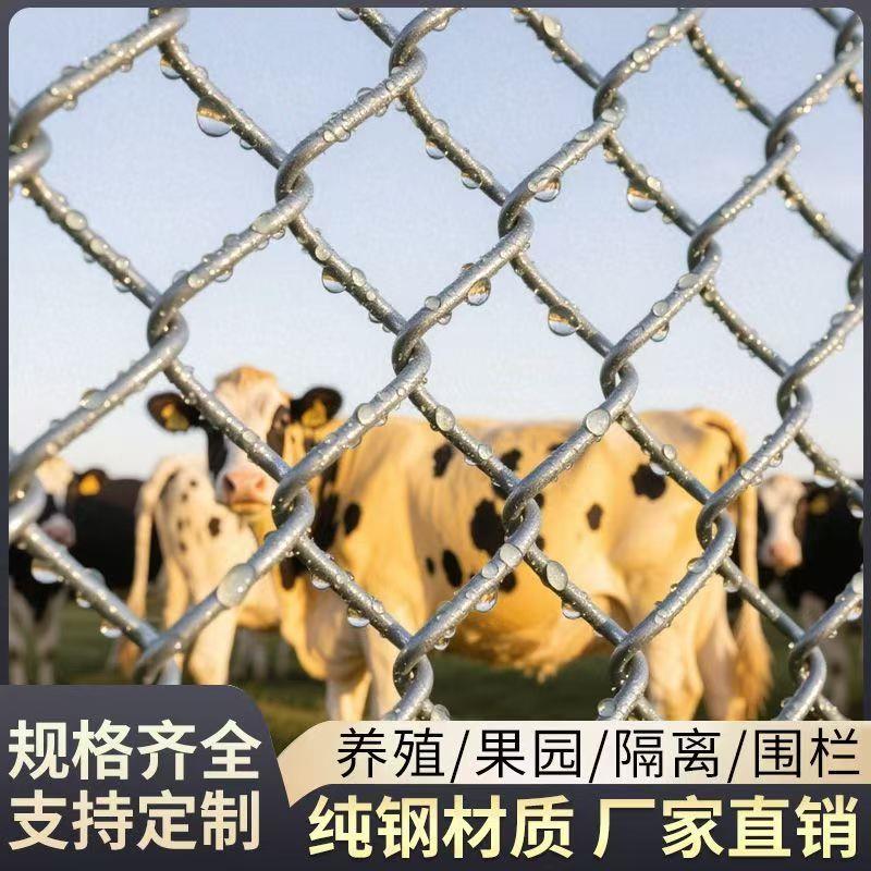 热镀锈锌铁丝网网栏网养鸡狗牛羊养围殖网防护钢丝网户外防护栏网