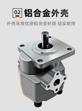 极速高压液压齿轮油泵总成GPY HGP-2A-F2R/3R/4R/5R/6/8/9/10/11R