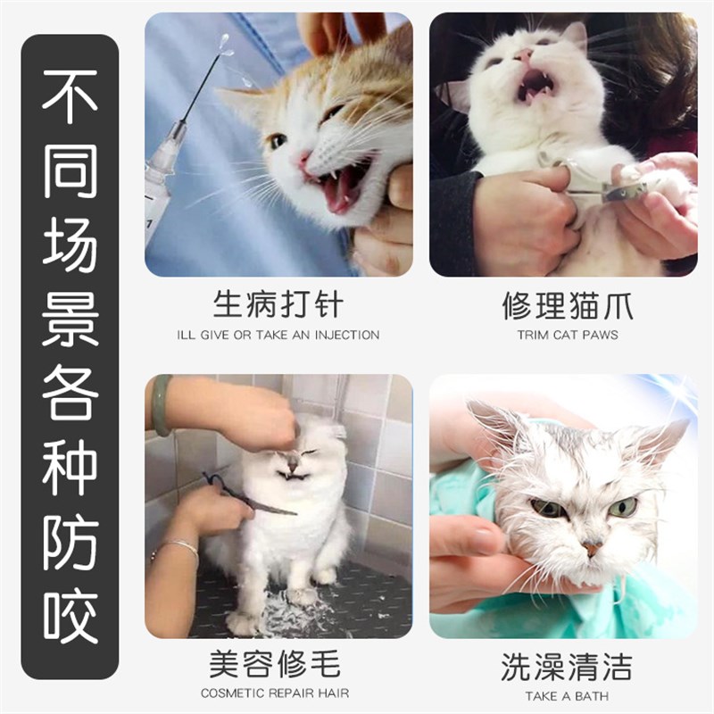 猫咪透气宠物头罩脸罩口罩防咬打针伊丽莎白圈头套洗澡剪指甲护理