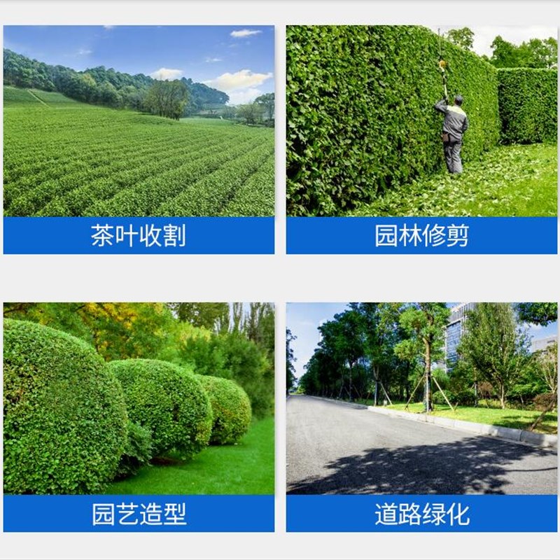 茶叶修剪机齿距加宽篱笆修枝绿化修剪机背负生产效率高茶树砍茶机