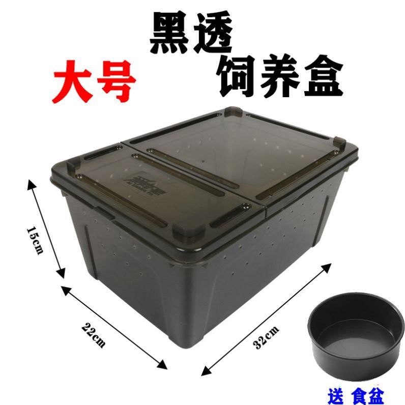 各种蚕宝宝饲养盒透气带孔透明观察学生养蚕盒子小蚕桑叶保湿保鲜