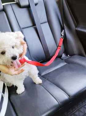 Solid Two-in-one Pet Car Seat Belt Lead Leash BackSeat Safet