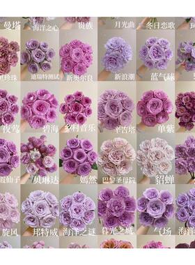 白20戴安娜玫瑰卡布奇诺玫瑰荔枝红色玫瑰香槟支同款