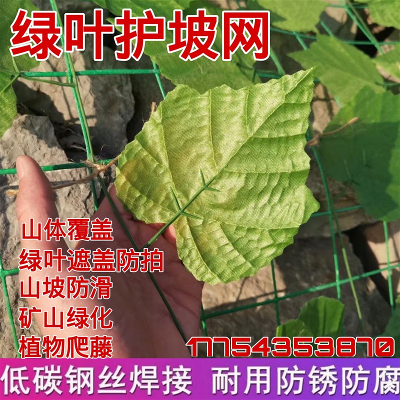速发山体绿化网矿山复护树叶网边坡防绿绿叶铁丝网土坡山理矿治绿