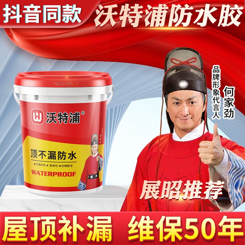 速发防漏涂料放水漏堵水王屋顶防水补胶材料屋顶裂缝漏漏专用胶