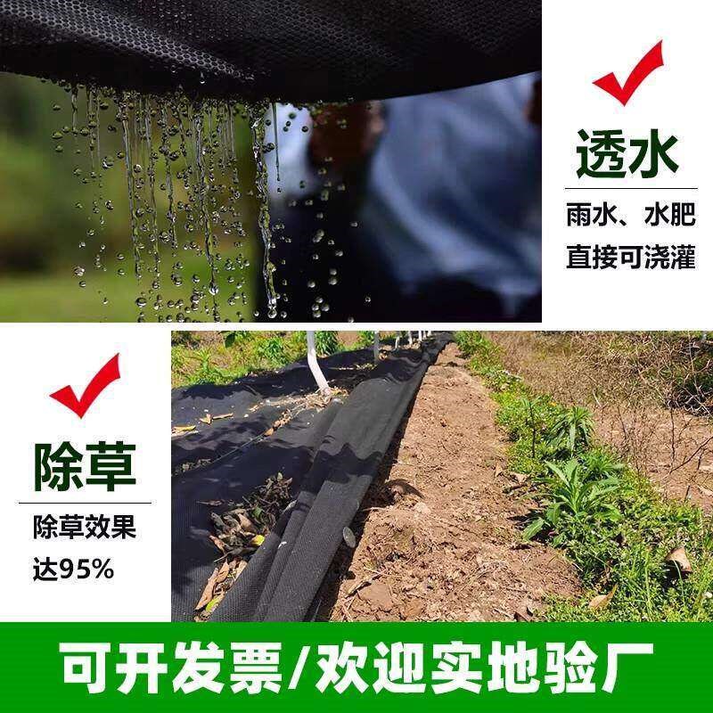 速发打孔防草布钻孔地膜蔬菜药材育苗圆孔透气渗水耐用蔬菜育苗除