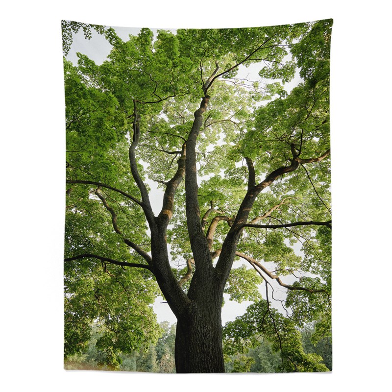 速发夏日森林 墙壁艺术挂毯玄关装饰壁画卧室挂画挂布