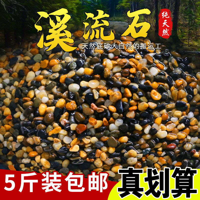 速发鱼缸造景底饰装砂沙石头子铺底原水溪流乌龟缸石生族箱10斤装