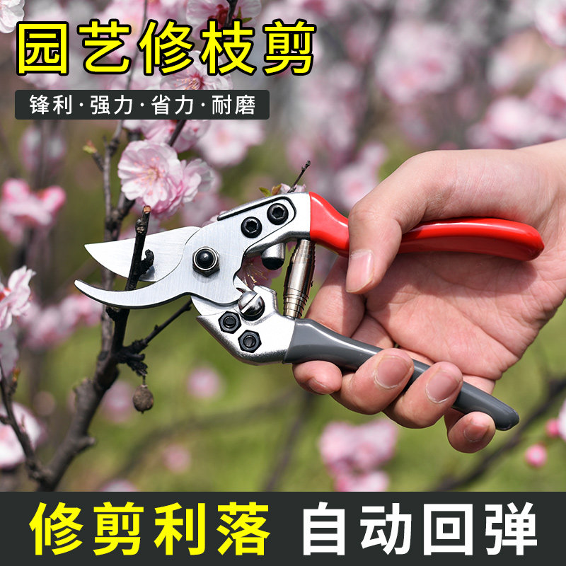 速发园省剪枝剪花修枝剪粗果树枝家用强力工具盆景刀卉嫁接艺力剪