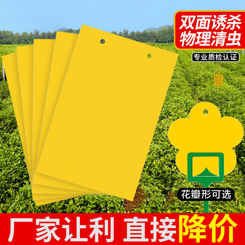 速发农用粘虫板黄板双面特粘诱虫板果板蝇针蜂贴果园专贴茶园大棚