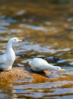 精选古都吸水石上水石摆件假山盆景多肉微景观装饰造景陶瓷小饰品