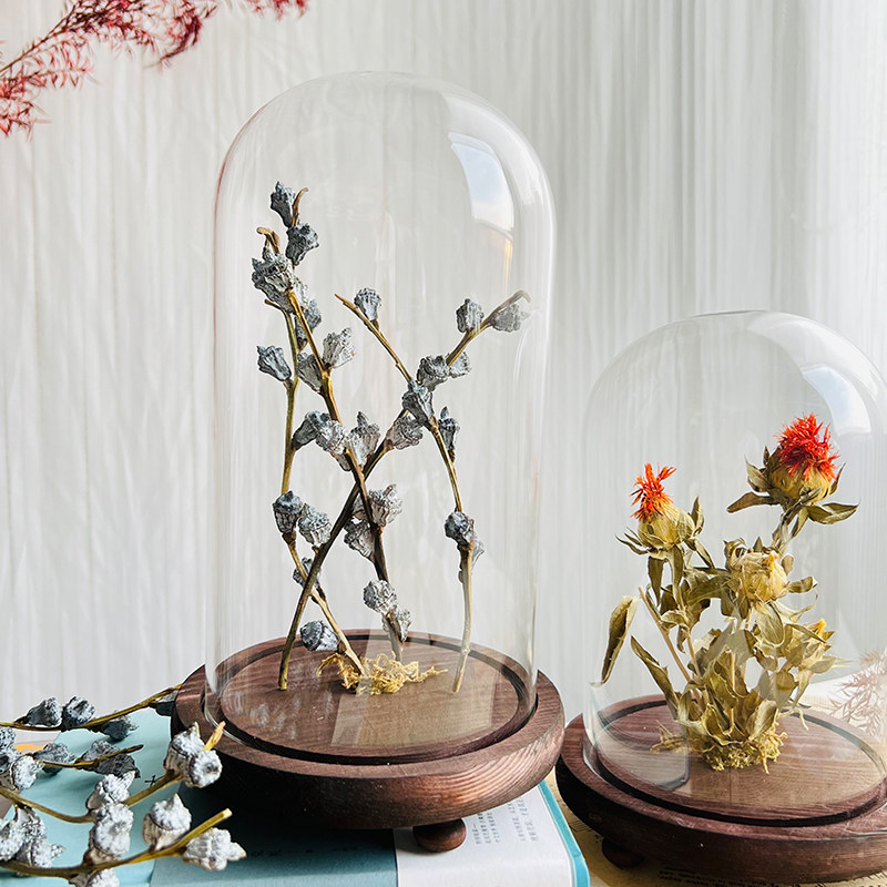 精选样板间轻奢植物标本装饰品玻璃罩摆件花艺中草药复古简约标摆,家居饰品,装饰摆件,淘宝优惠券,粉丝福利购,淘宝优惠卷