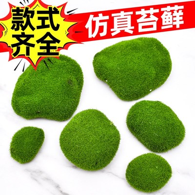 速发配藓植块毛石头大小搭苔造景装饰青苔石青苔草坪植绒摆件软装