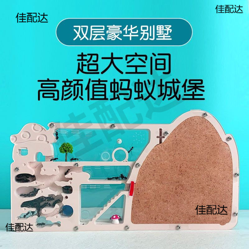 蚂蚁城堡箱小学版箱工坊巢穴饲养王国弓背蚁巢宠物扩展沙巢