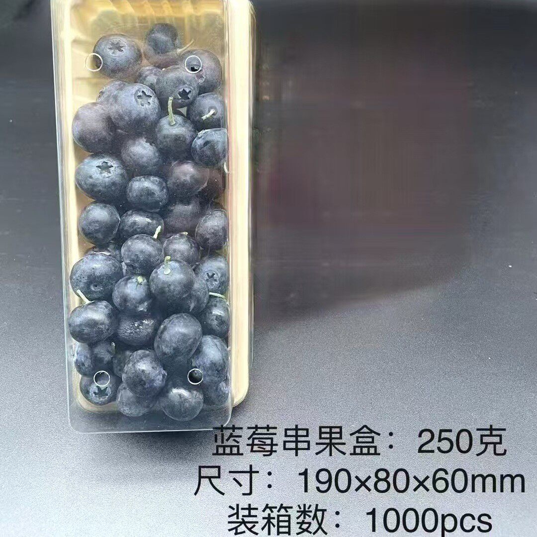 长方形蓝莓包装盒串果蓝莓盒带孔枝条蓝莓盒子1000个带孔带盖