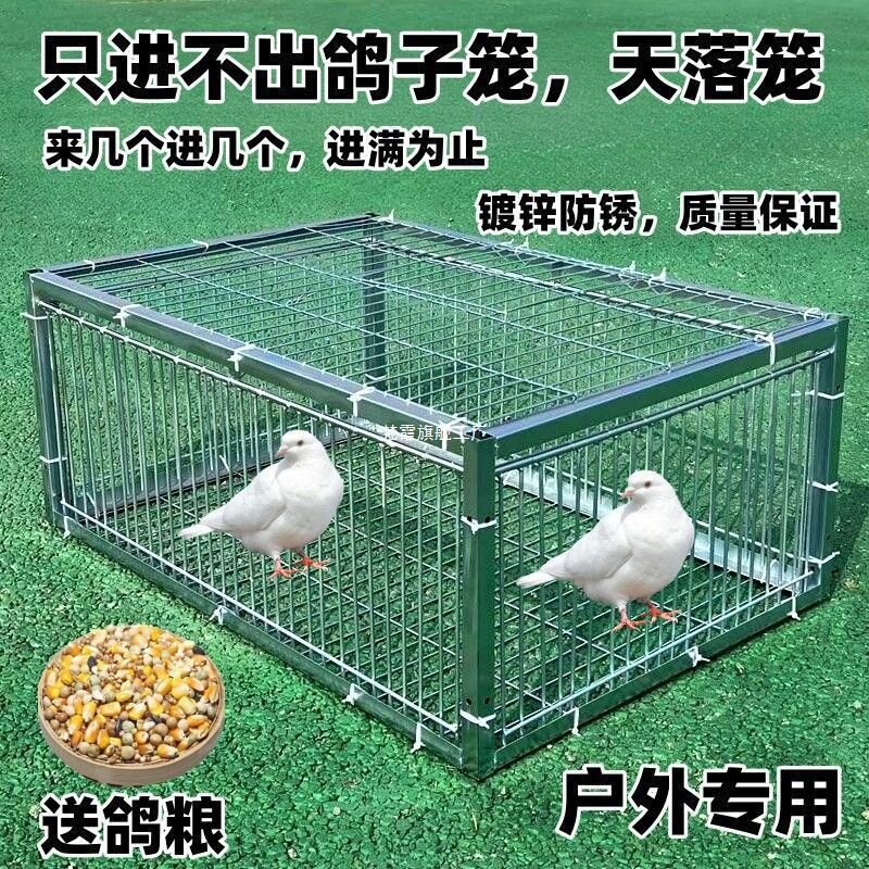 鸽子器只进不出门天落网笼收鸽笼逮扑捕抓鸽子鸡陷阱见描述