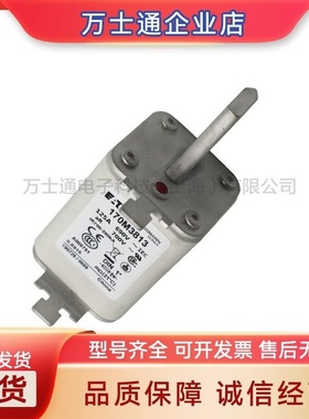 170M3458/3459/3460/3461/3462/3463/3464/3465全新熔断器现货