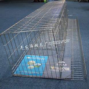 年发生产养殖蛋鸡铁丝网笼具三层阶梯式滚蛋笼子