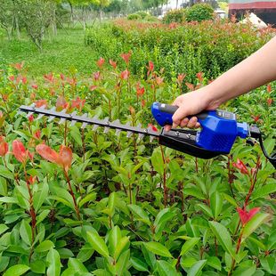 易速Z60H60电动修剪机绿篱机篱笆剪刀绿化修球机手持锂电修枝机