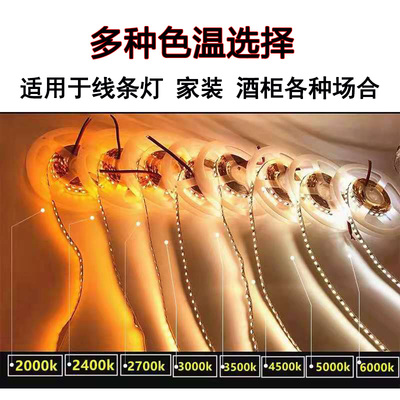 高亮高显色LED灯带12V24V2835铜支架灯珠2400K 3500K 5000K软灯条