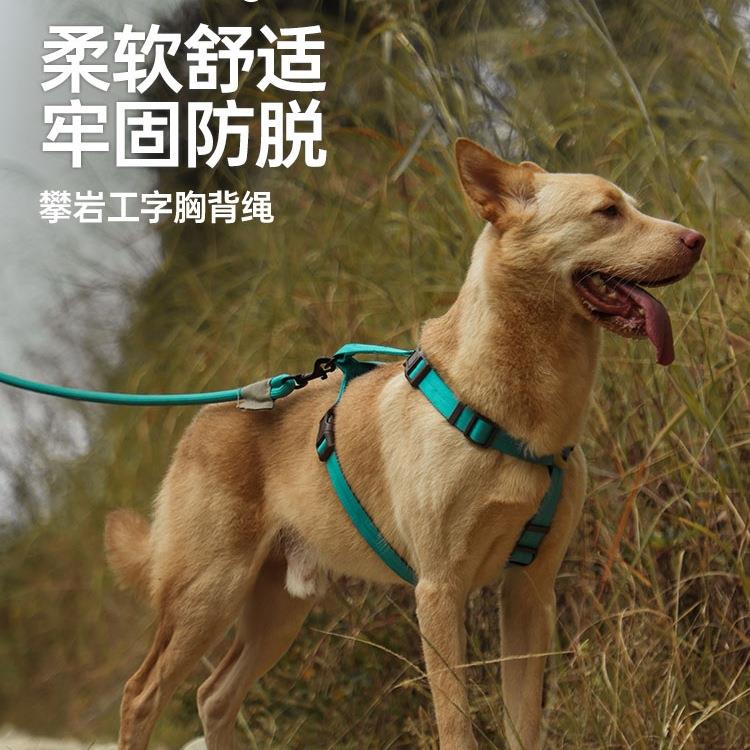 它它攀岩狗狗工字胸背带小中大型犬防挣脱牵引绳狗绳