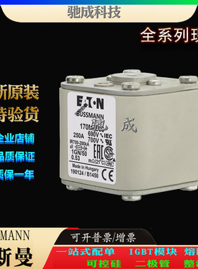 巴斯曼170M4508 170M4509 170M4510 长期批发销售价优 原装熔断器