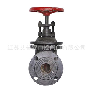 水用管道开关 16Q铜芯密封暗杆式 艾普森法兰球铁硬密封闸阀 Z45T
