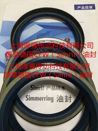 德国CFW/Simrit油封A/B1FUD4