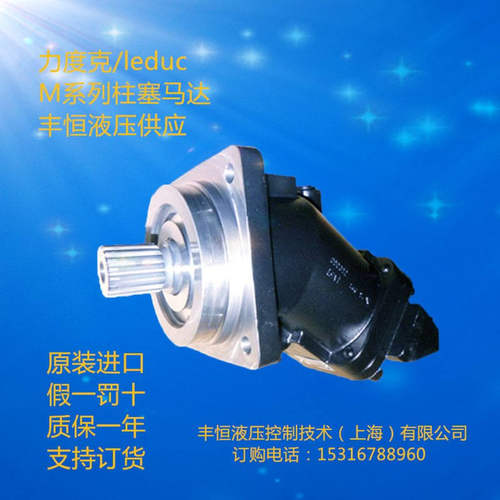 供应上海leduc液压钻机动力头马达 力度克斜盘式液压马达油压马达