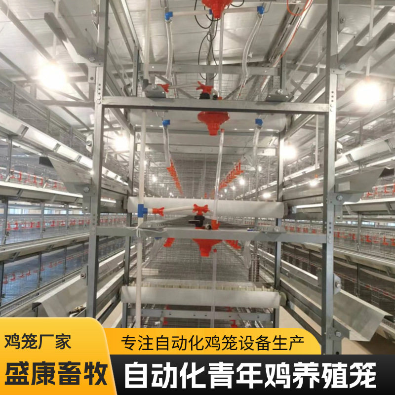 鸡集蛋清粪养鸡笼鸡舍养鸡场育雏设备四层叠鸡笼子养鸡自动料线