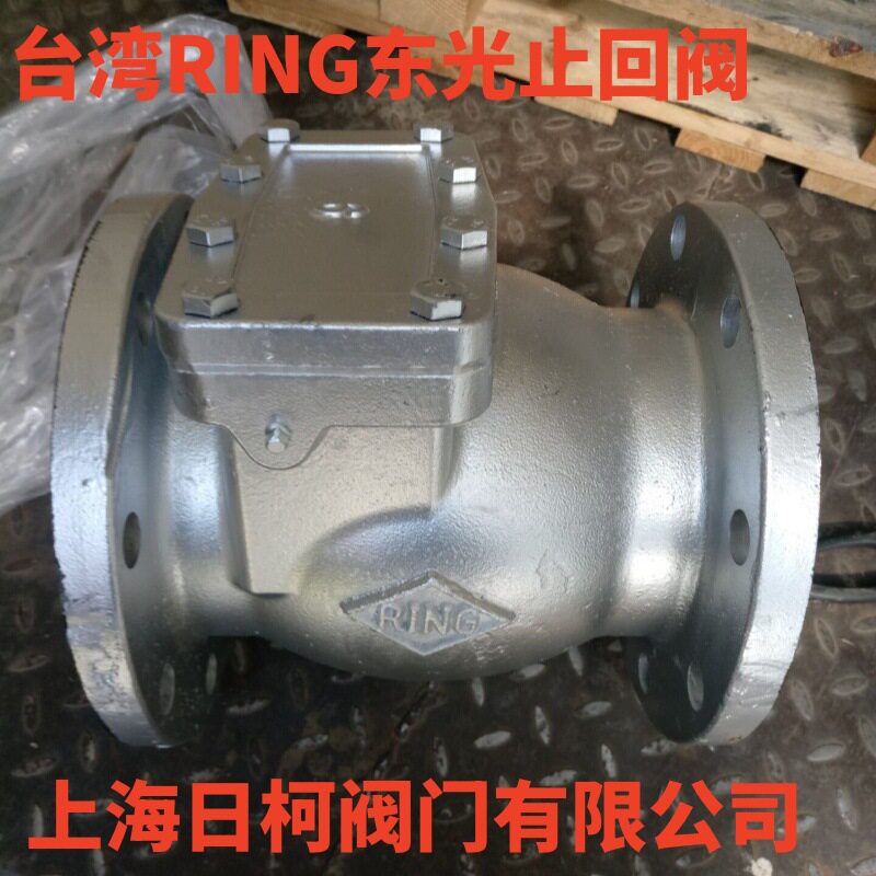FIG.065铸铁横式逆止閥_台湾RING东光铸铁旋启式止回阀