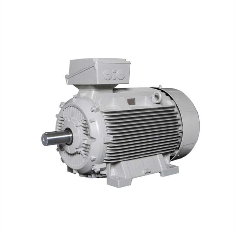 LAMMERS-IE3电机1TZ9003-1CA03-4FB4-Z