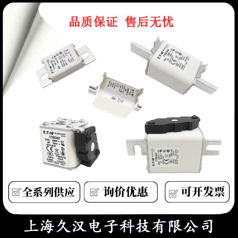 170M7513 170M7546 170M7516 170M7978 BUSSMANN 熔断器 保险丝