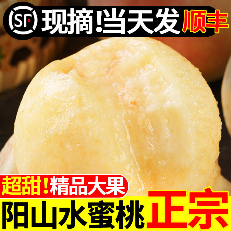 【超甜多汁】正宗无锡阳山水蜜桃