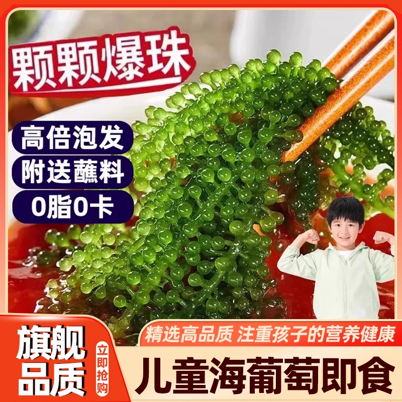 儿童海葡萄即食精美新鲜盐渍海葡萄泡发绿色鱼子酱蔬菜植物海藻草