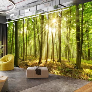 树林森林背景布装饰大自然风景壁纸瑜伽壁画餐厅墙布绿色植物墙纸