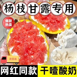 固体杨枝甘露专用冷萃酸奶网红干噎酸奶甜品材料解馋食品旗舰店