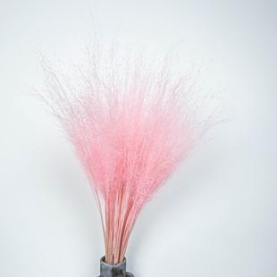 粉黛乱子草干花网红草草永生花软装婚庆布置插瓶多色可选