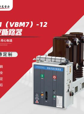 vs1（vbm7）-12真空断路器户内高压真空断路器开关真空断路器