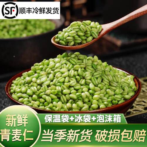 河南正宗2024年青麦仁新鲜青麦粒米去皮青小麦仁嫩麦籽麦穗鲜麦仁