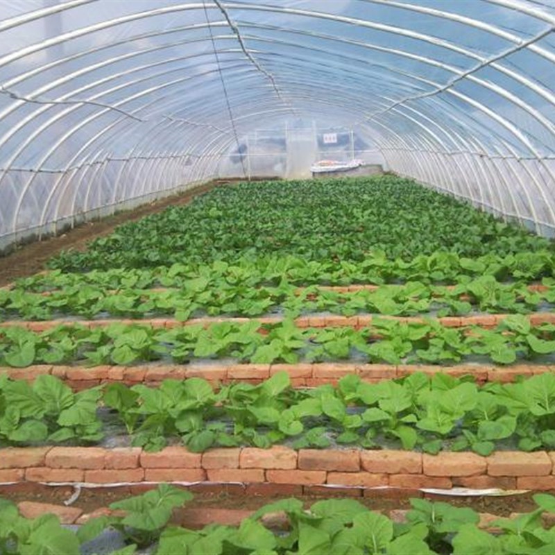 抗老化长寿无滴膜流滴膜蔬菜大棚膜二层保温膜避雨棚小拱棚薄膜
