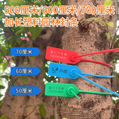 定制一次性园艺扎带树木记号标签打号扣园林塑料封条加长捆绑带