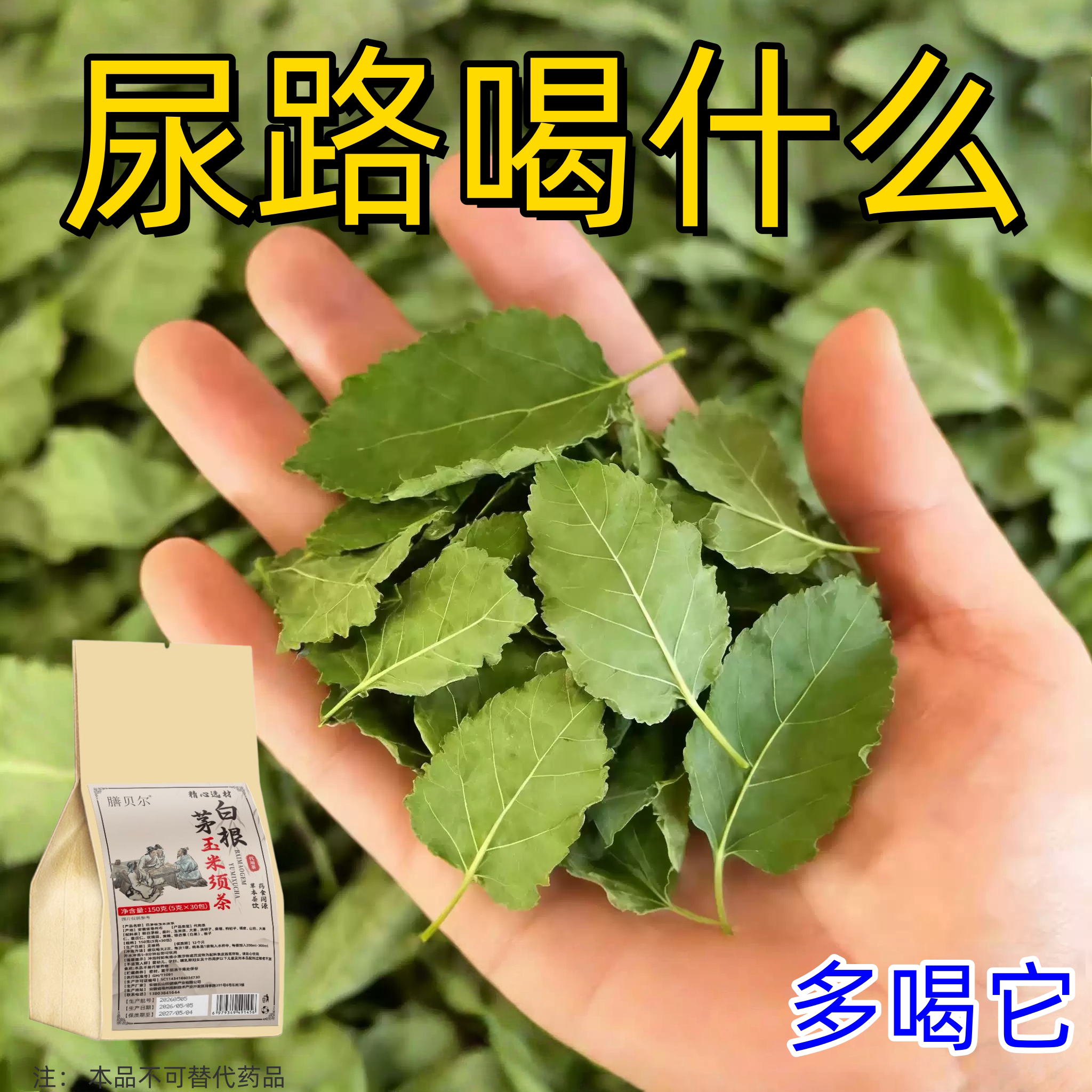 正品白茅根尿路感染男女士老年人尿频尿急不尽小便刺痛养生茶