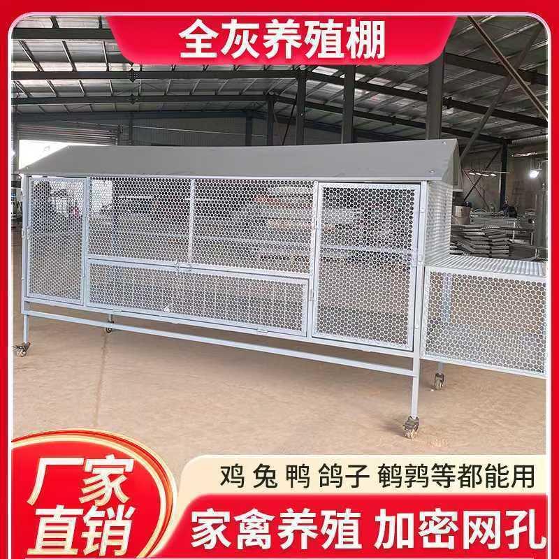 户外尖顶养殖鸡鸭兔笼鸽笼防鼠黄鼠狼捡蛋笼加密蛋框养鸡笼子新款