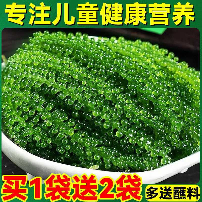 儿童海葡萄即食绿色鱼子酱小孩吃的健康零食新鲜盐渍开胃菜旗舰店