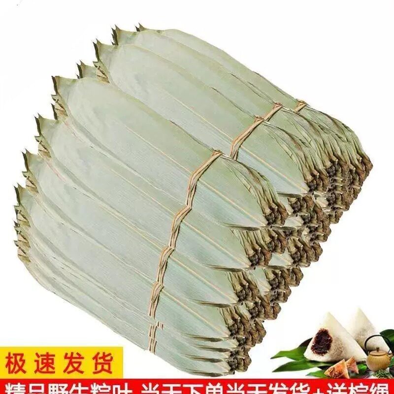 粽叶新鲜粽子叶干大号5斤箬叶特大端午节包粽子专用嘉兴棕叶