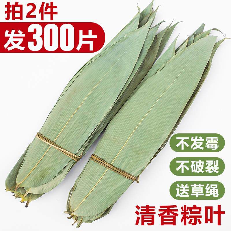 干粽叶免邮晒干特大号粽叶100张 包粽子家用商用竹子叶非新鲜