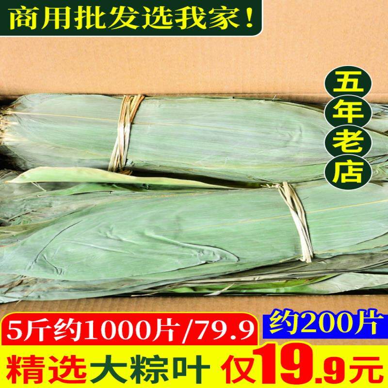 商用粽叶粽子叶包邮新鲜干大粽叶端午包粽子统货批发手选A7称5斤